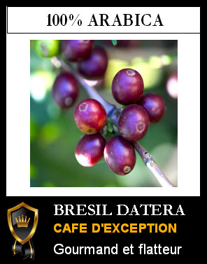 BRESIL - R�gion de Cerrado - Datera Sweet Collection
