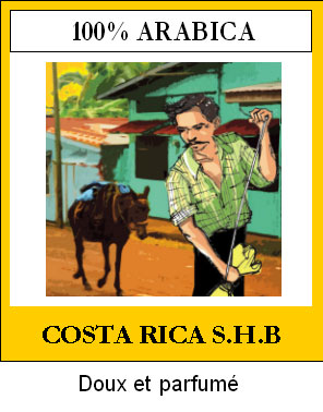 Caf� en Grains COSTA RICA S.H.B