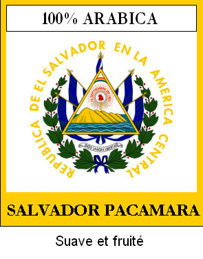 Caf� en Grains SALVADOR PACAMARA