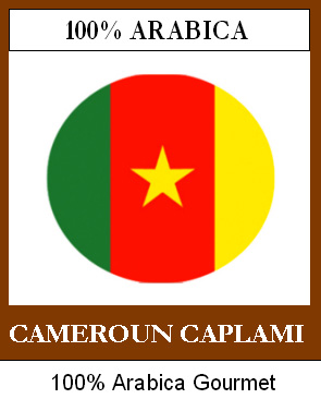 Caf� grain CAMEROUN CAP LAMI