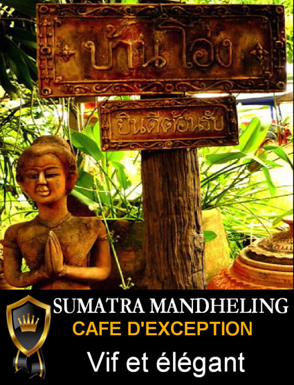 Caf� en Grains INDONESIE SUMATRA MANDHELING Grade 1