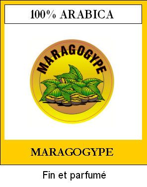 Caf� en Grains MARAGOGYPE du Nicaragua Plantation SHG