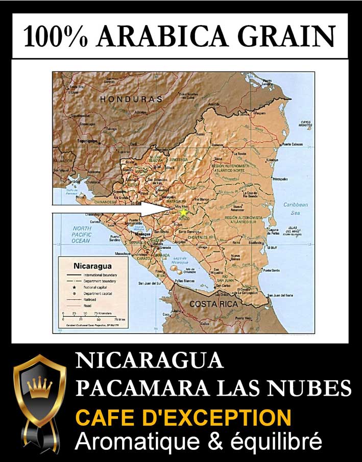 Nicaragua Pacamara Las Nubes