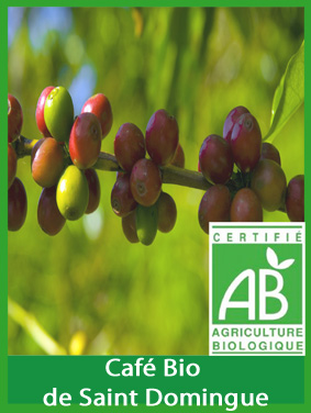 SAINT DOMINGUE BARAHONA - Certifi� Biologique