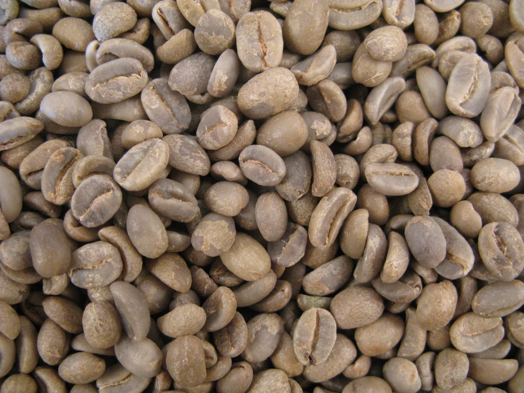 Caf� vert BOLIVIE  Certifi� Biologique