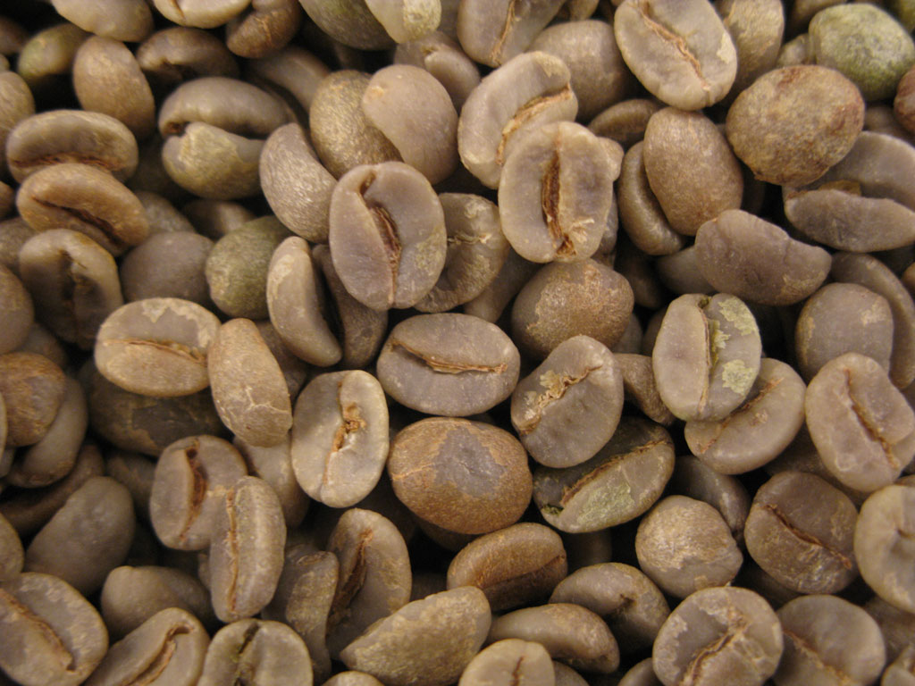 Caf� vert Br�sil cerrado Fine Cup  (non torr�fi�)