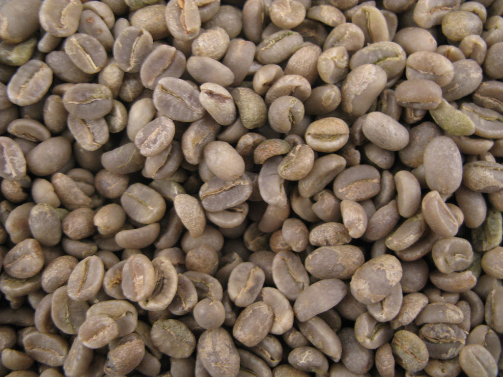 Caf� vert Colombie Excelso Extra  (non torr�fi�)