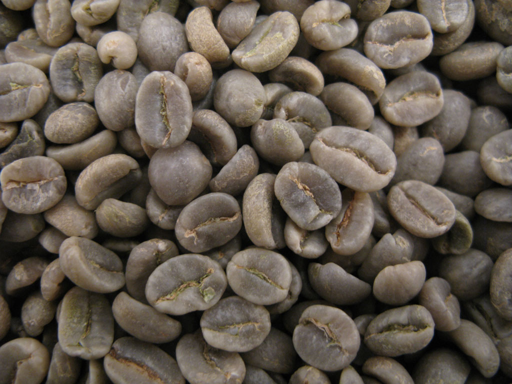 Caf� vert Costa Rica SHB (non torr�fi�)