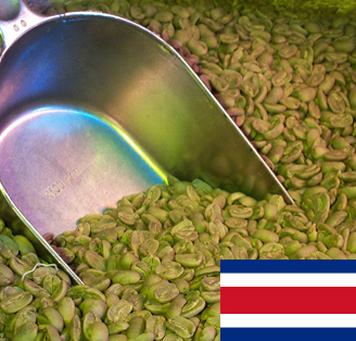 Caf� vert : Costa Rica SHB (non torr�fi�)