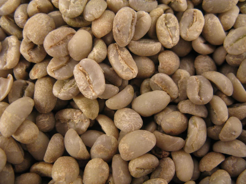 Caf� Vert Ethiopie moka HOMA - Certifi� Biologique