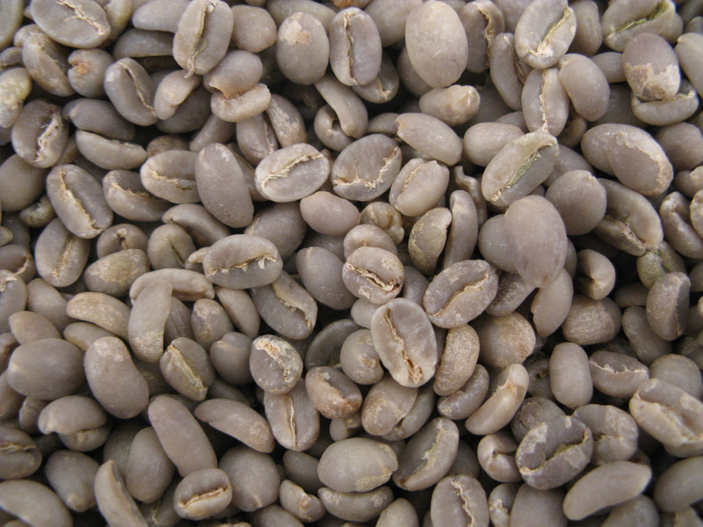 caf� vert Moka d'�thiopie YRGACHEFFE