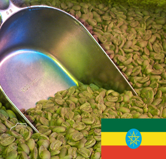 Caf� vert : Moka d'�thiopie sidamo (non torr�fi�)