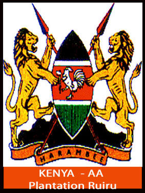 KENYA  AA RUIRU MILLS ESTATE- Caf� moulu