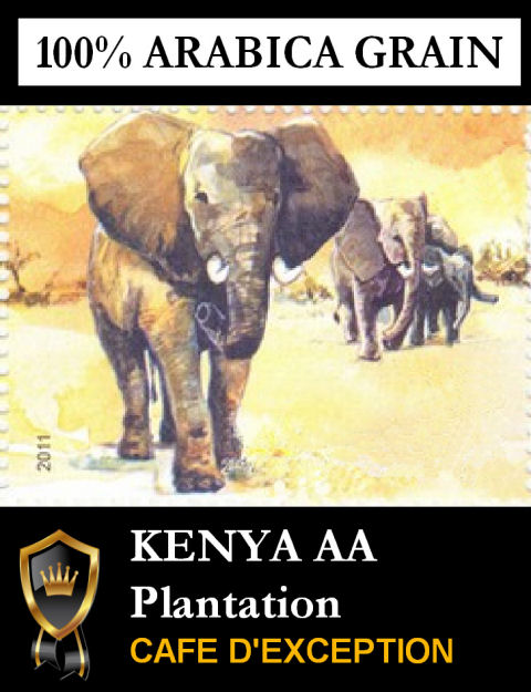 Caf� en Grains KENYA AA PLANTATION