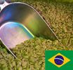 Caf� vert : Br�sil Santos (non torr�fi�)