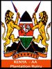 KENYA  AA RUIRU MILLS ESTATE- Caf� en grain
