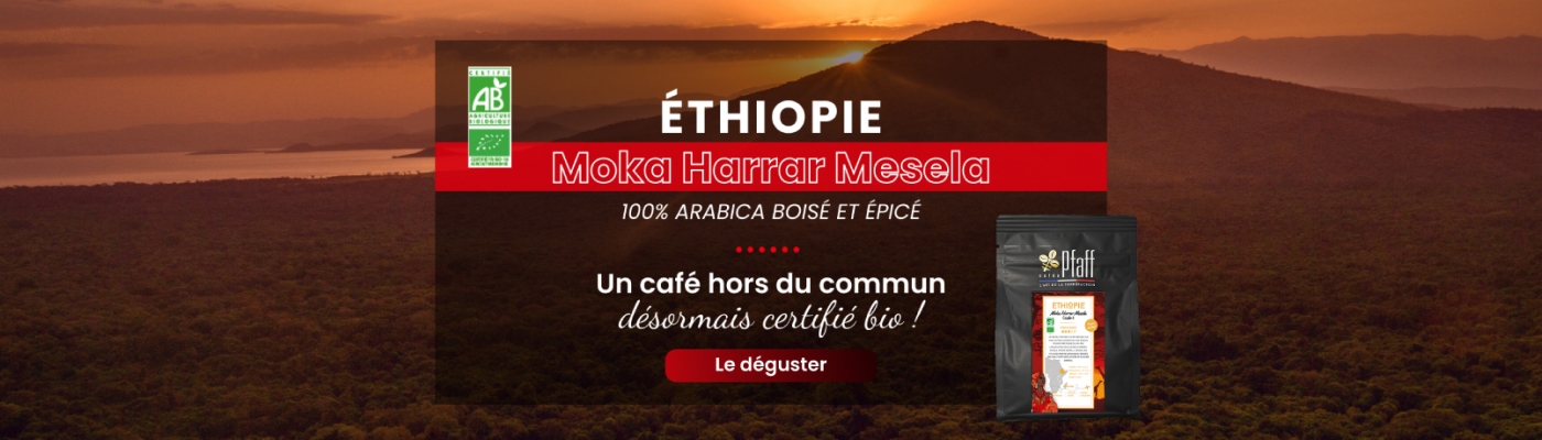 L'Éthiopie Moka Harrar devient bio