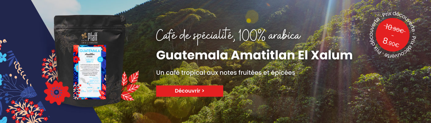 Café en grain Guatemala - Amatitlan El Xalum