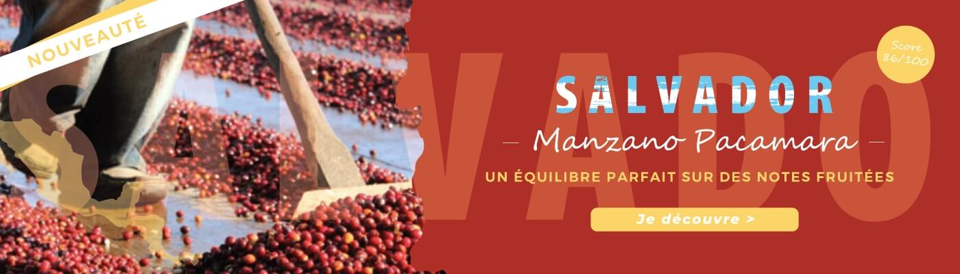 Nouveauté Salvador Manzano Pacamara