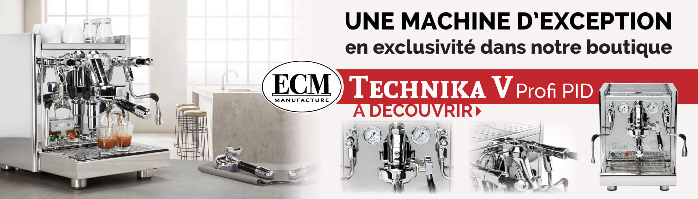 Technika V Profi PID ECM machine expresso