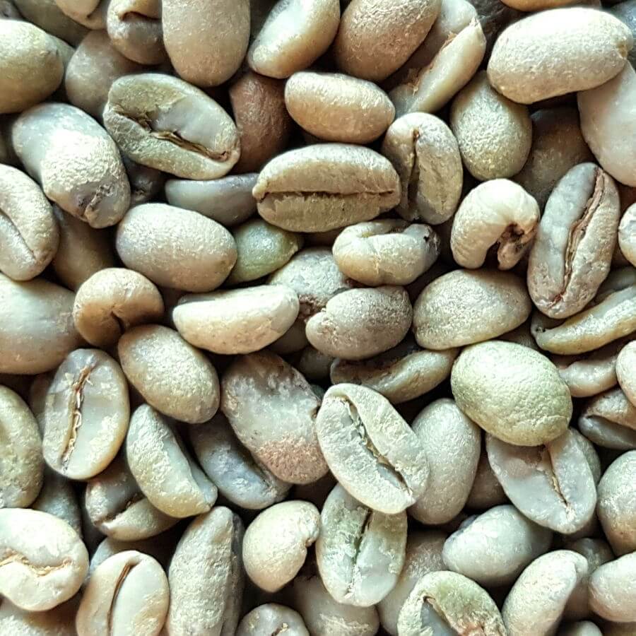 cafe vert ethiopie moka lekempti 1kg