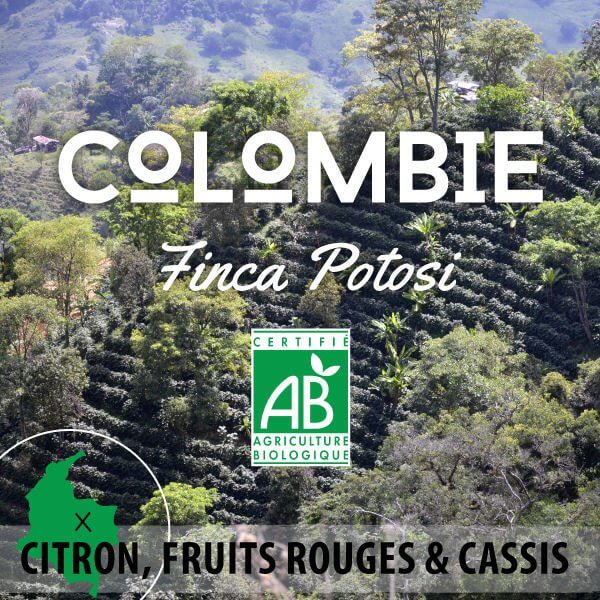 Café en grain BIO COLOMBIE - Finca Potosi BIO AB - Granja La Esperanza