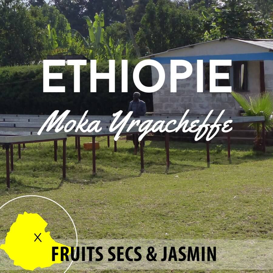Café en grain ETHIOPIE - Berentu G2 - Moka Yrgacheffe