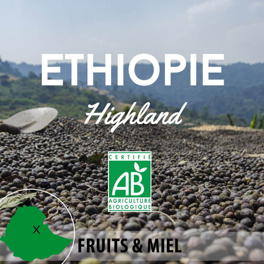 Café en grain ETHIOPIE - Wallagga - Anfilloo Highland Q2 Bio