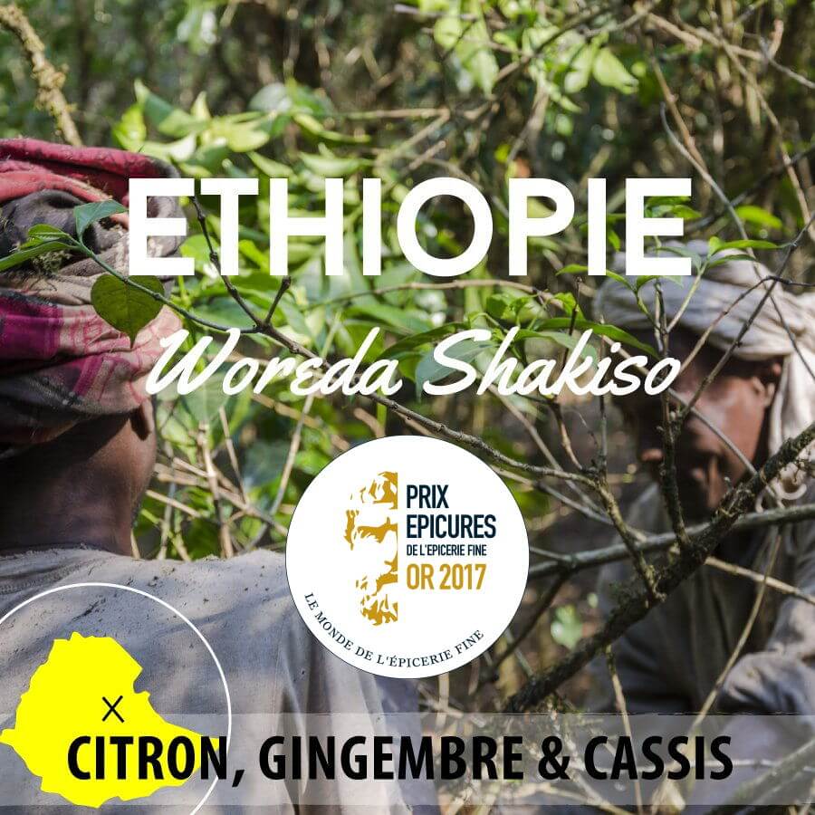 Café en grain ETHIOPIE - Moka Guji - Shakiso Qararo G1