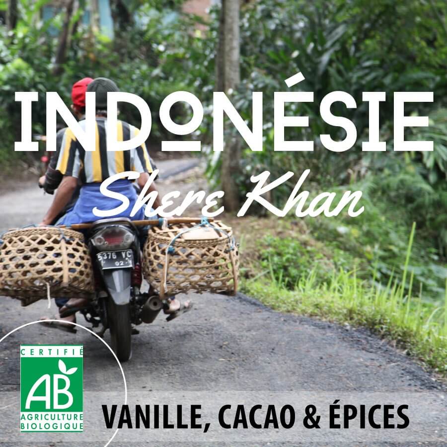 Café en grain BIO INDONESIE - Ile de Sumatra - SHERE KHAN