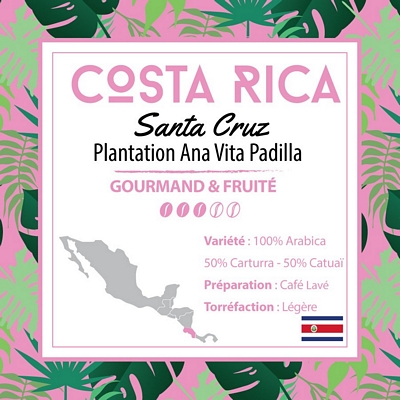 Café en grain Costa Rica - Tarrazu - Santa Cruz