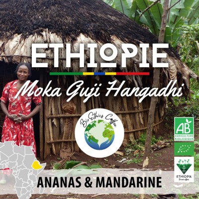 Café en grain BIO Éthiopie - Moka Guji Hangadhi