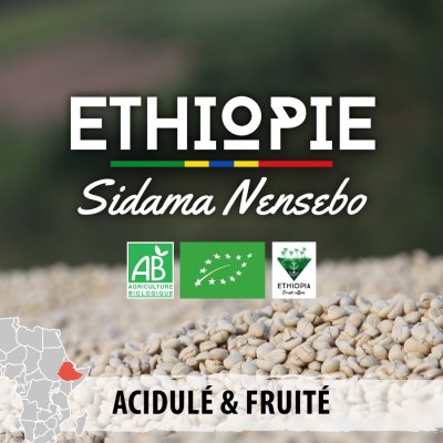 Café moulu Éthiopie Bio - Moka Sidama Nensebo