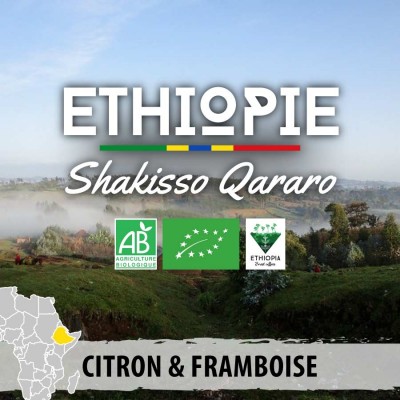 Café en grain BIO ETHIOPIE - Moka Guji - Shakisso Qararo