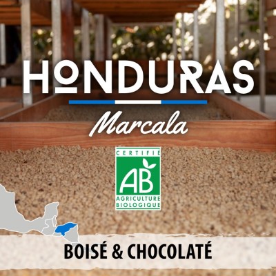 Café en grain BIO - HONDURAS - Marcala - Grade SHG