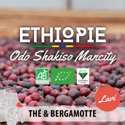 Café en grain Éthiopie Bio - Moka Guji Odo Shakiso - version lavée