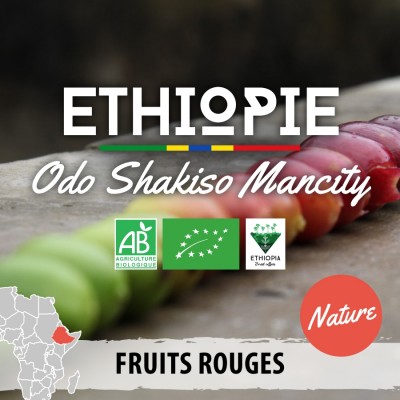 Café moulu Éthiopie Bio - Moka Guji Odo Shakiso - version nature