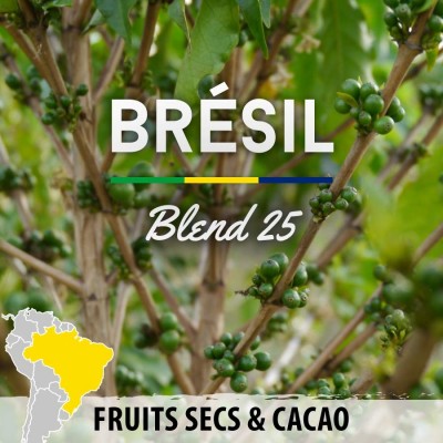 Café en grain Brésil Expresso Blend 25