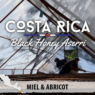 Café moulu Costa Rica - Black Honey Aserri