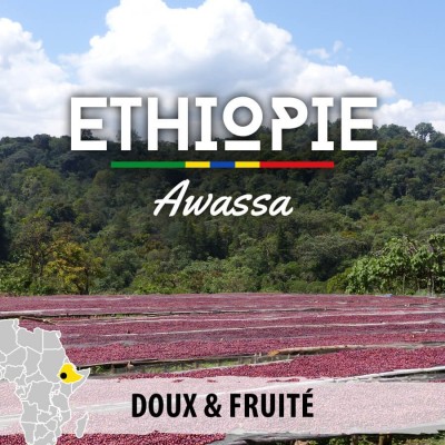 Café ETHIOPIE - Moka Sidamo - Awassa G2 - café moulu