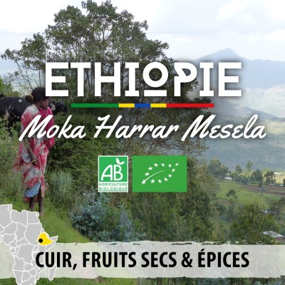 Café en grain Éthiopie BIO - Mesela Grade 4 - Moka Harrar