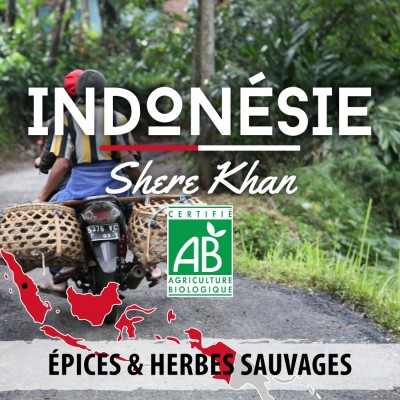 Café moulu INDONESIE Bio - Ile de Sumatra - SHERE KHAN