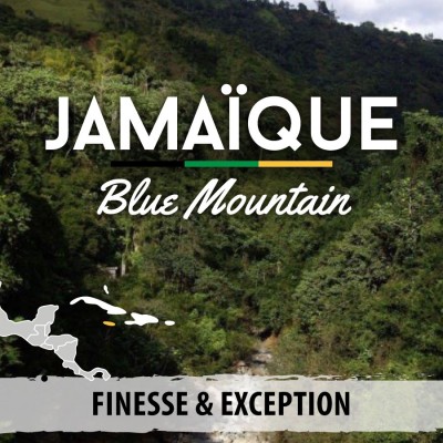 Café JAMAIQUE - Blue Mountain - Grade 1 - café moulu