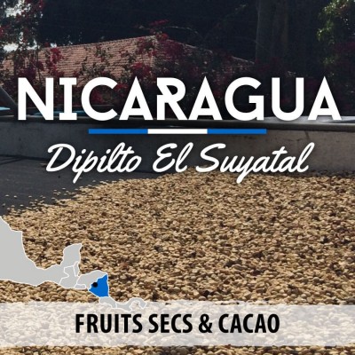 Café en grain Nicaragua - Dipilto - El Suyatal - Caturra