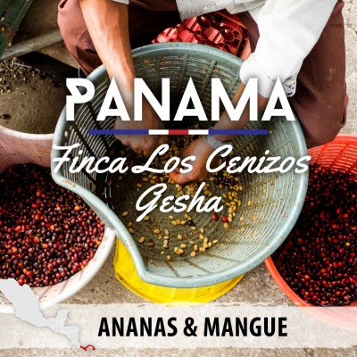 Café moulu Panama - Finca Los Cenizos - Gesha