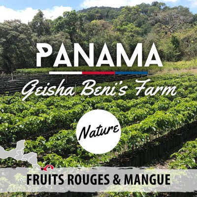 Café PANAMA - Geisha - Beni's Farm - Nature - Café Moulu