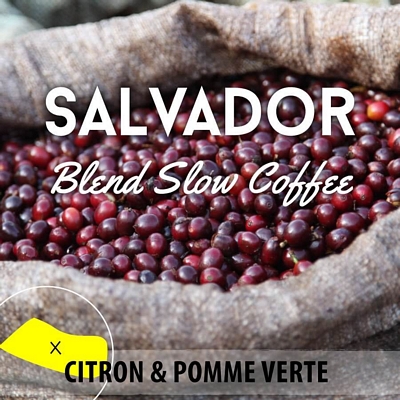 Café en grain Salvador méthode douce: Apaneca